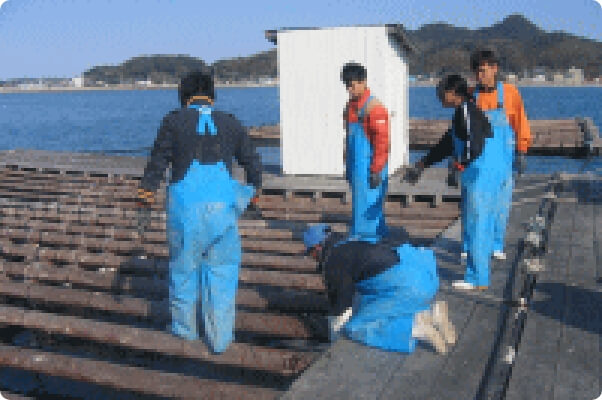 岐志港から約5分で牡蠣の養殖場に到着！このいかだの下に栄養豊富な牡蠣がたくさん育っています。